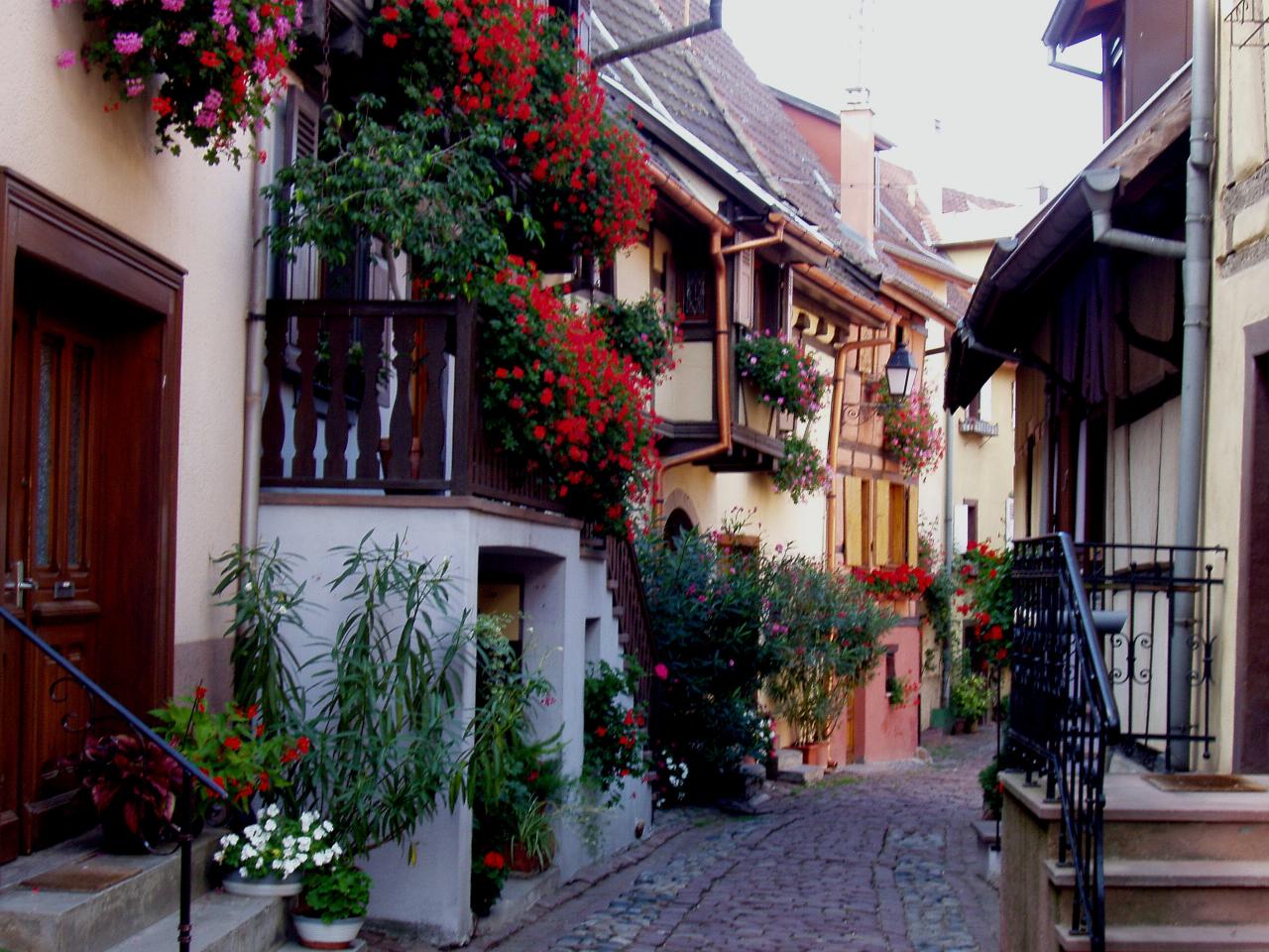 Alsace eguisheim 