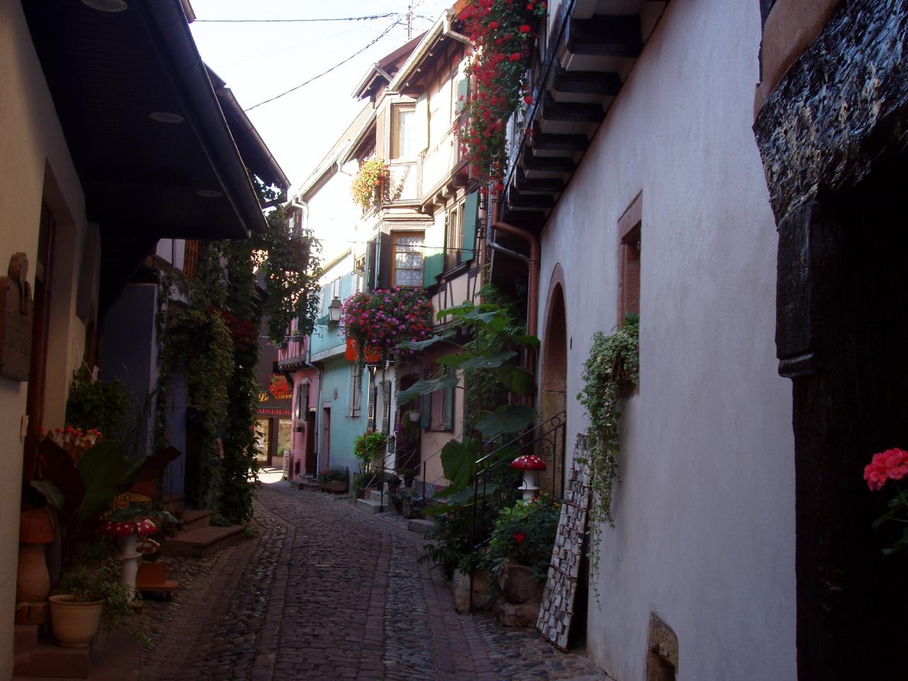 Alsace Eguisheim