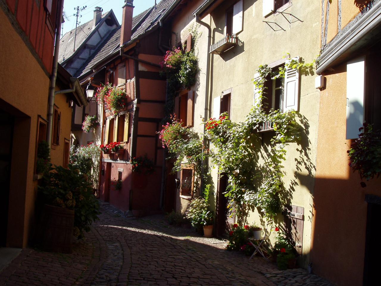 Alsace Eguisheim 