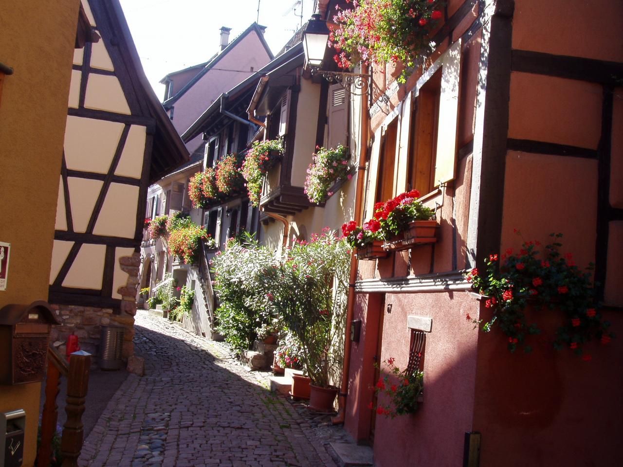 Alsace Eguisheim 