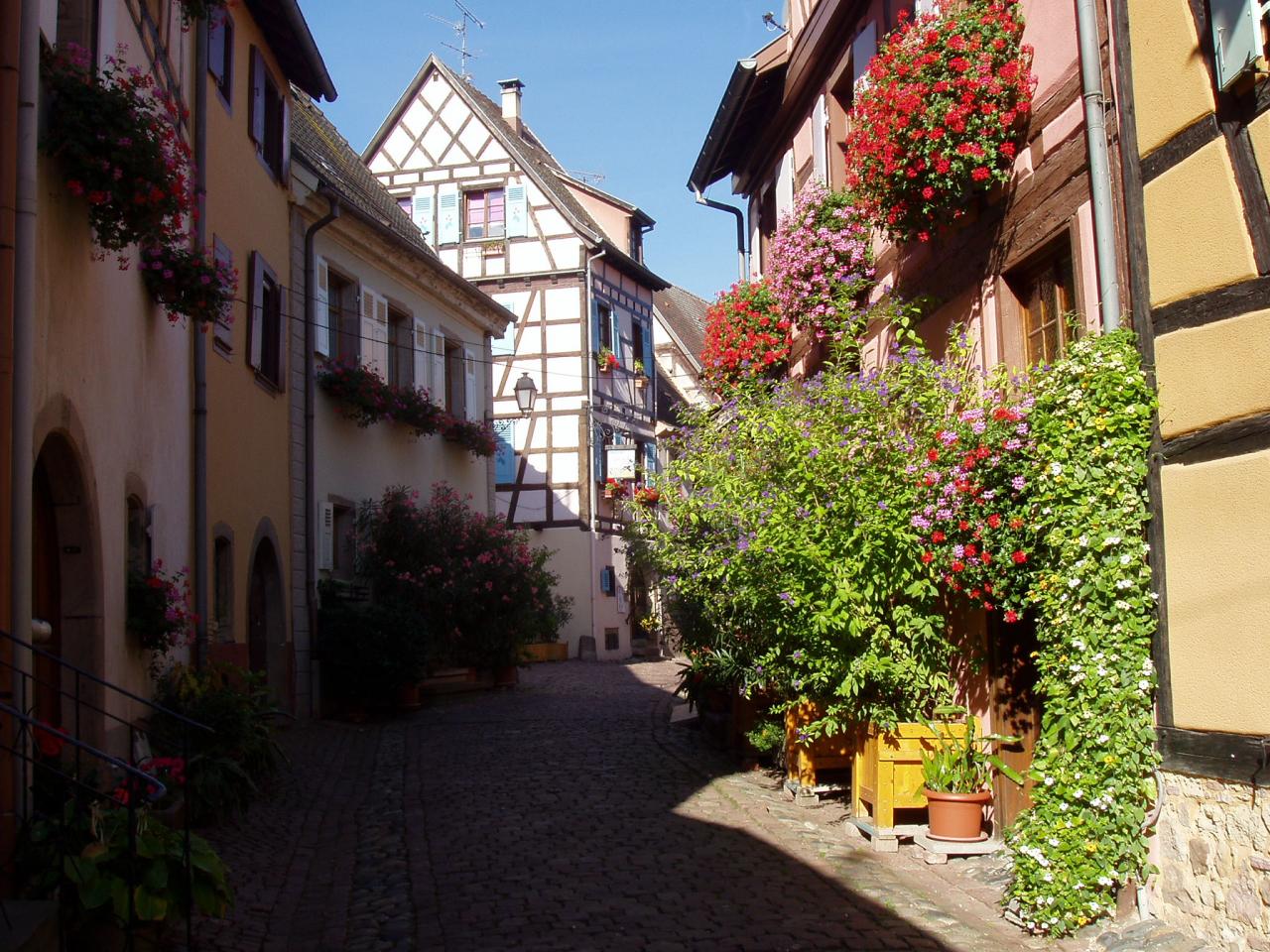 Alsace Eguisheim 