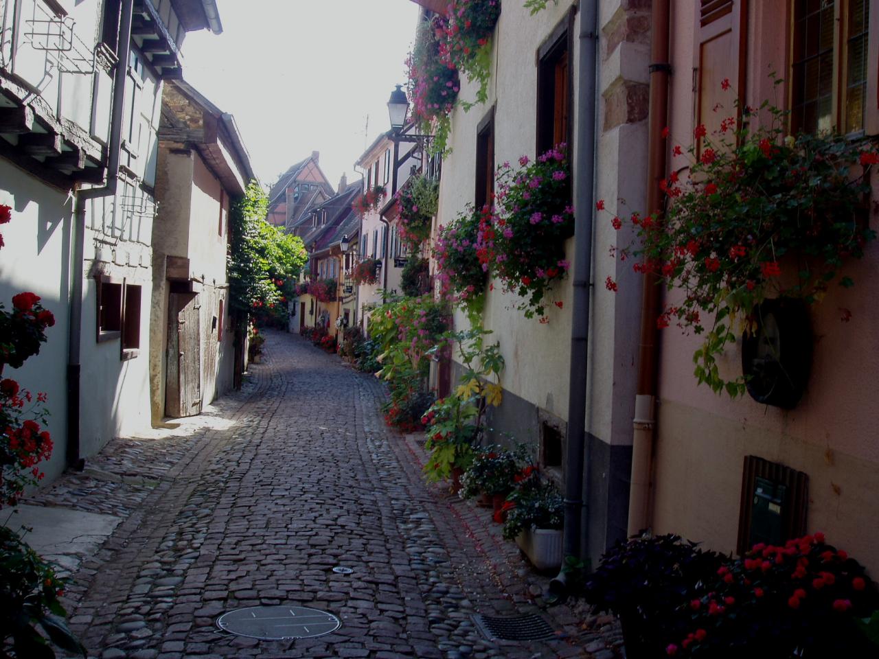 Alsace Eguisheim 