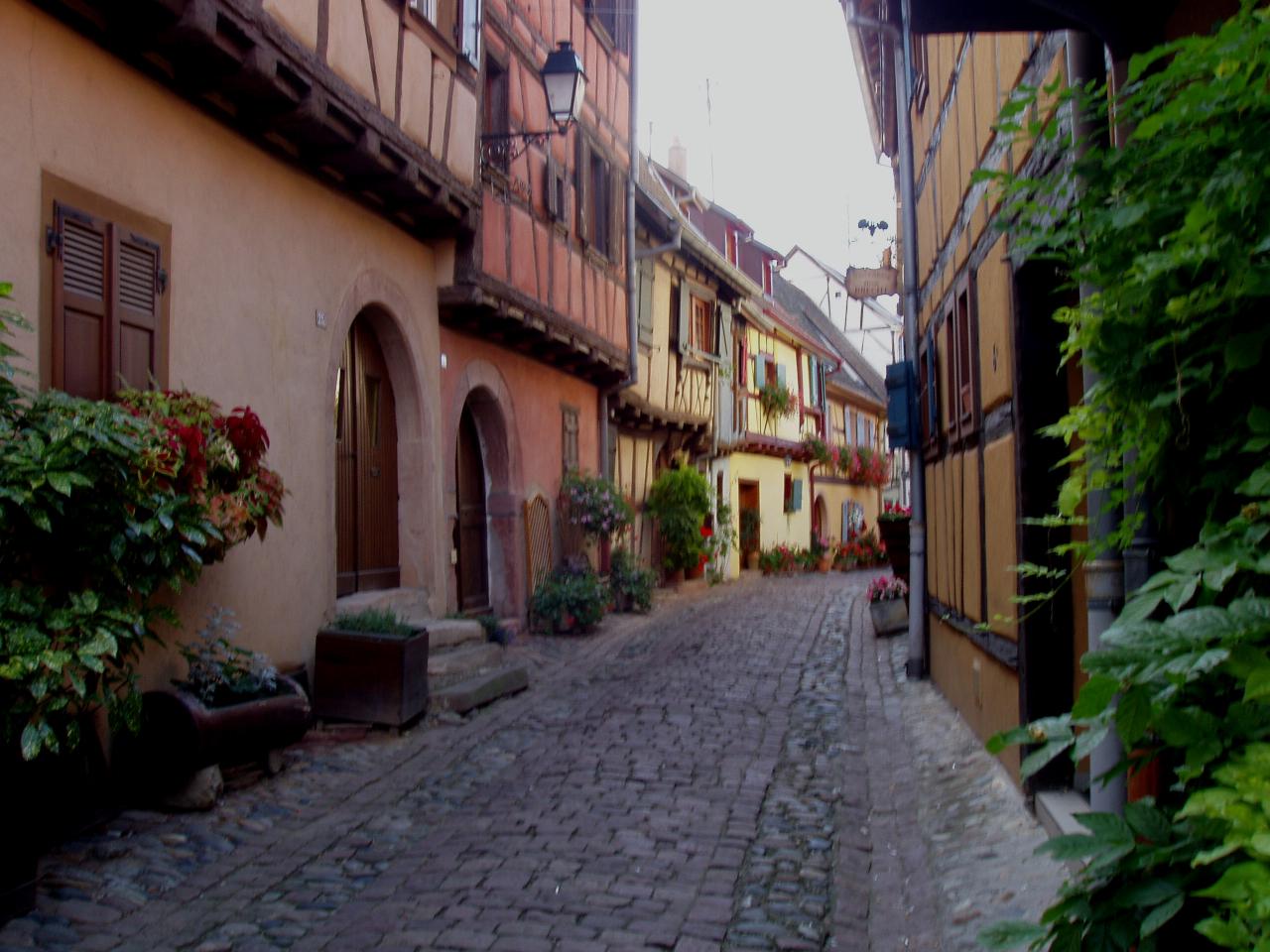 Alsace Eguisheim 