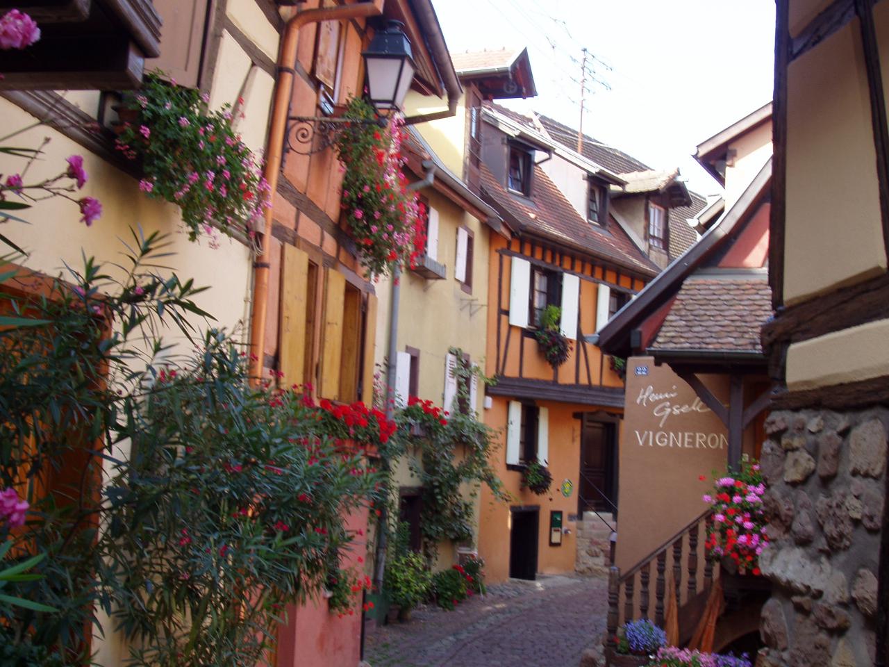 Alsace Eguisheim 