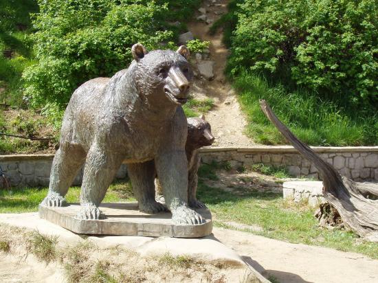 l'ours de Metsovo