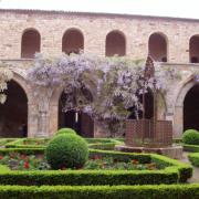 Abbaye de fontfroide  le cloître