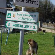 au-long-de-la-saone-