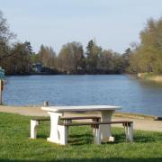 bord de Saône