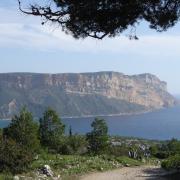 cap-canaille-Cassis