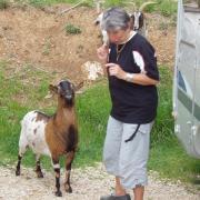 Cuges les pins le parking camping car