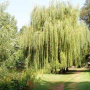 promenade au bord de la Vézère