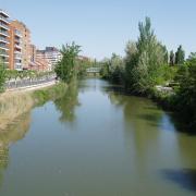 Palencia