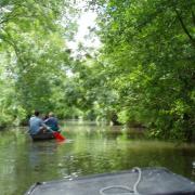 Marais poitevin  Arçais le canal