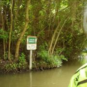 Marais poitevin  Arçais