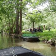 Marais poitevin