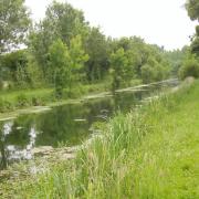 Marais poitevin canal le Mignon