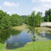 Marais poitevin  le port et parking camping cars