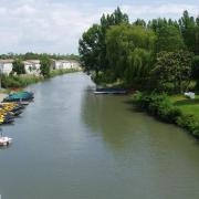 Marais poitevin