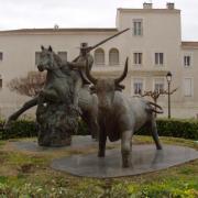 Gardian de Camargue