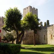 la tour du château