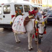 Carvoeiro en ville