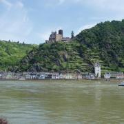 st-Goar-am-rhein- le château du chat